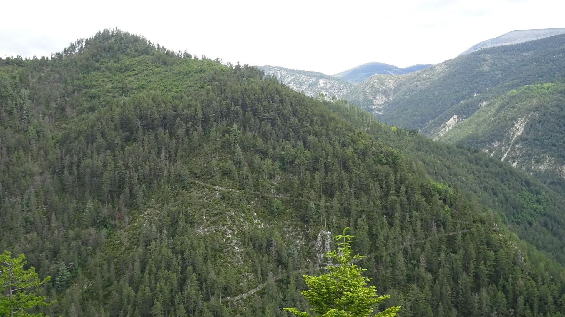 Le Coullet Saint André les Alpes