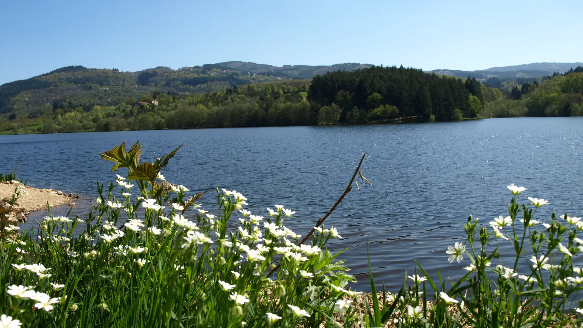 Vue du Lac d'Aubusson-d'Auvergne