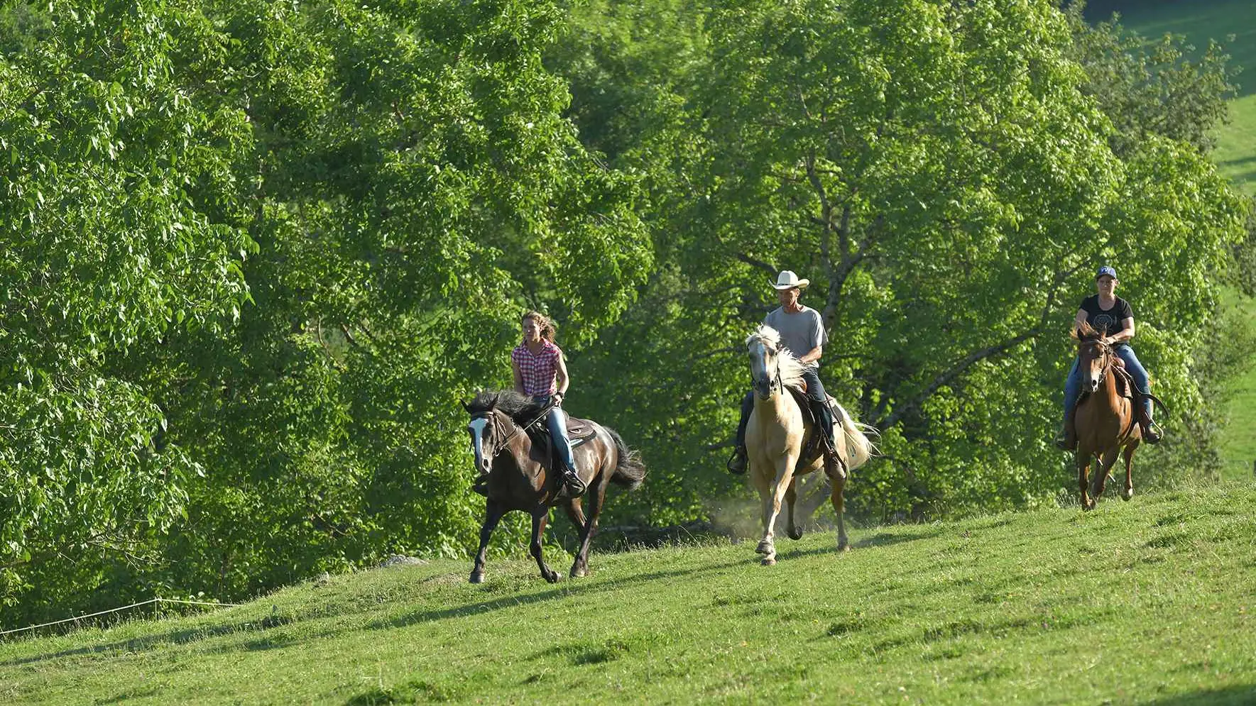 Randonnée équestre à Ferrières-sur-Sichon