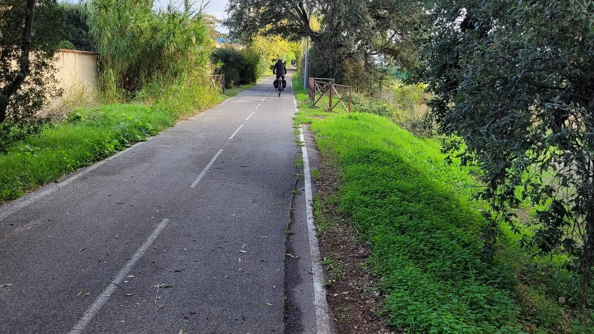 Cycliste de dos roulant sur la piste cyclable entourée de végétation