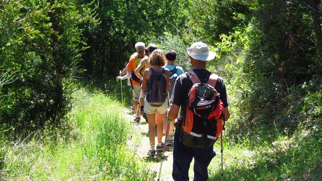 Randonnée accompagnée