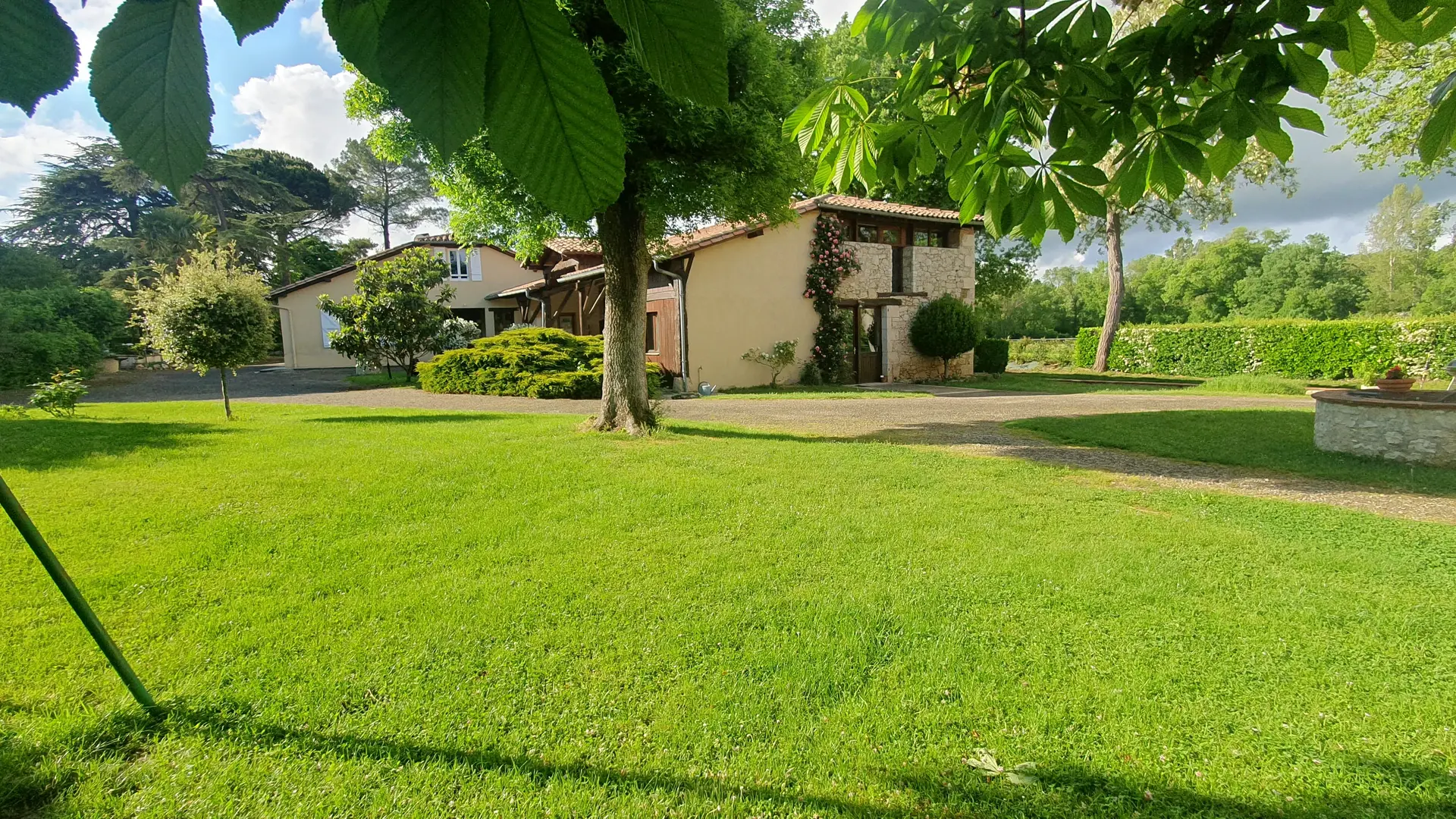 Vue d'ensemble du jardin