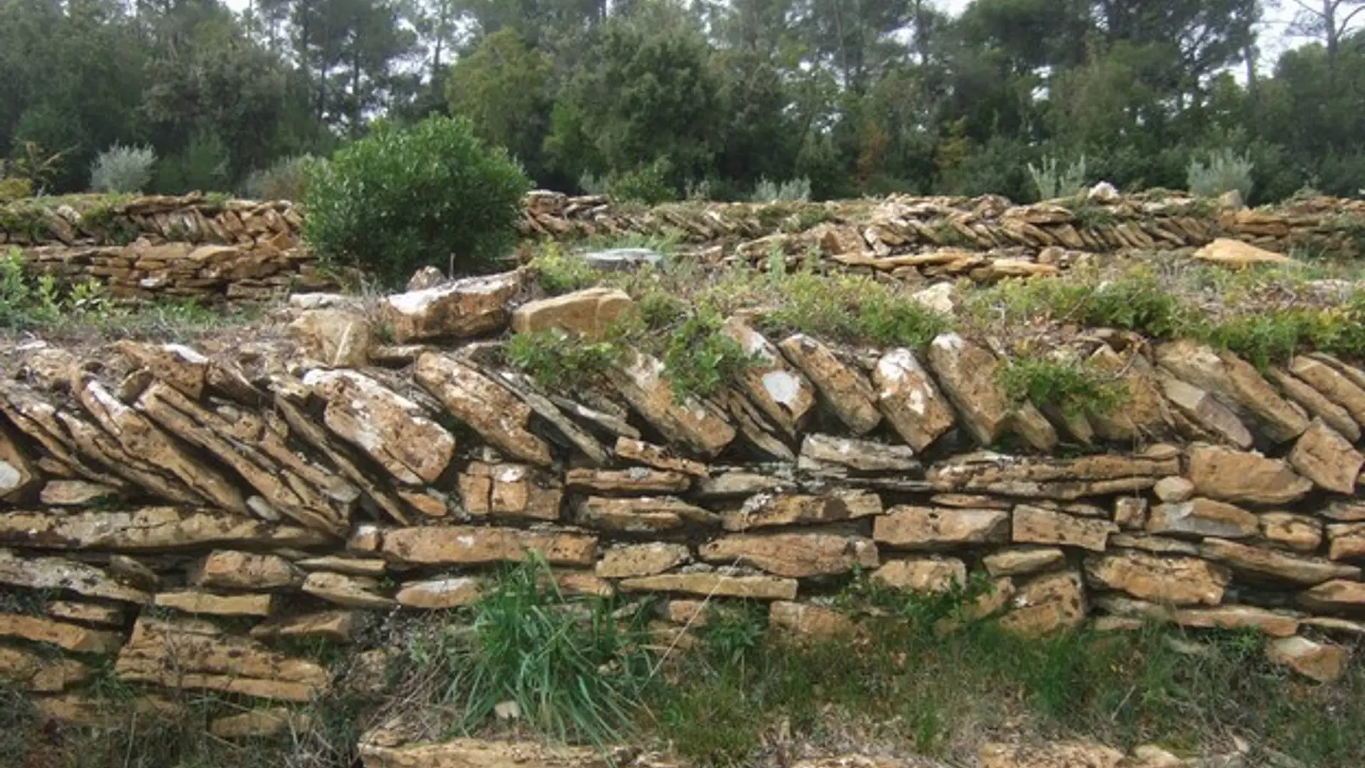Restanques et murets autour de la maison des Quatre Frères