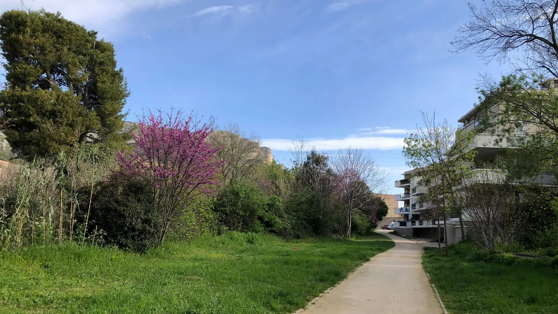 Sur les berges de l'Huveaune