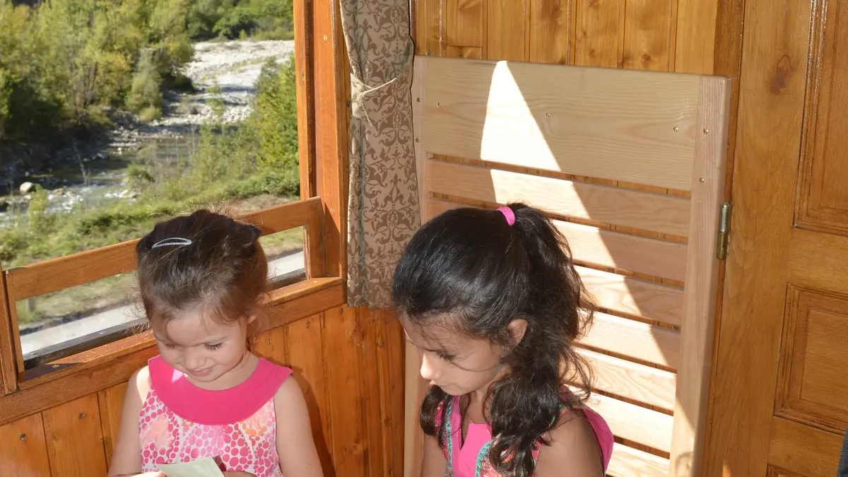 Les enfants à bord du train des pignes à vapeur