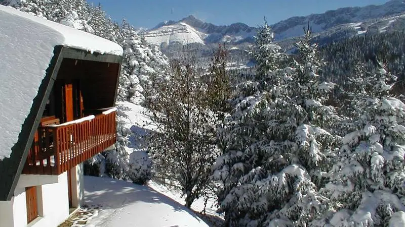 sous la neige