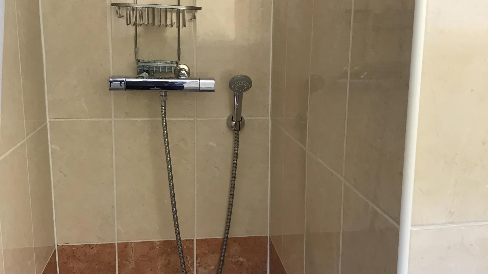 Une douche équipée d'une pomme de douche réglable et d'une étagère pour les produits de toilette.