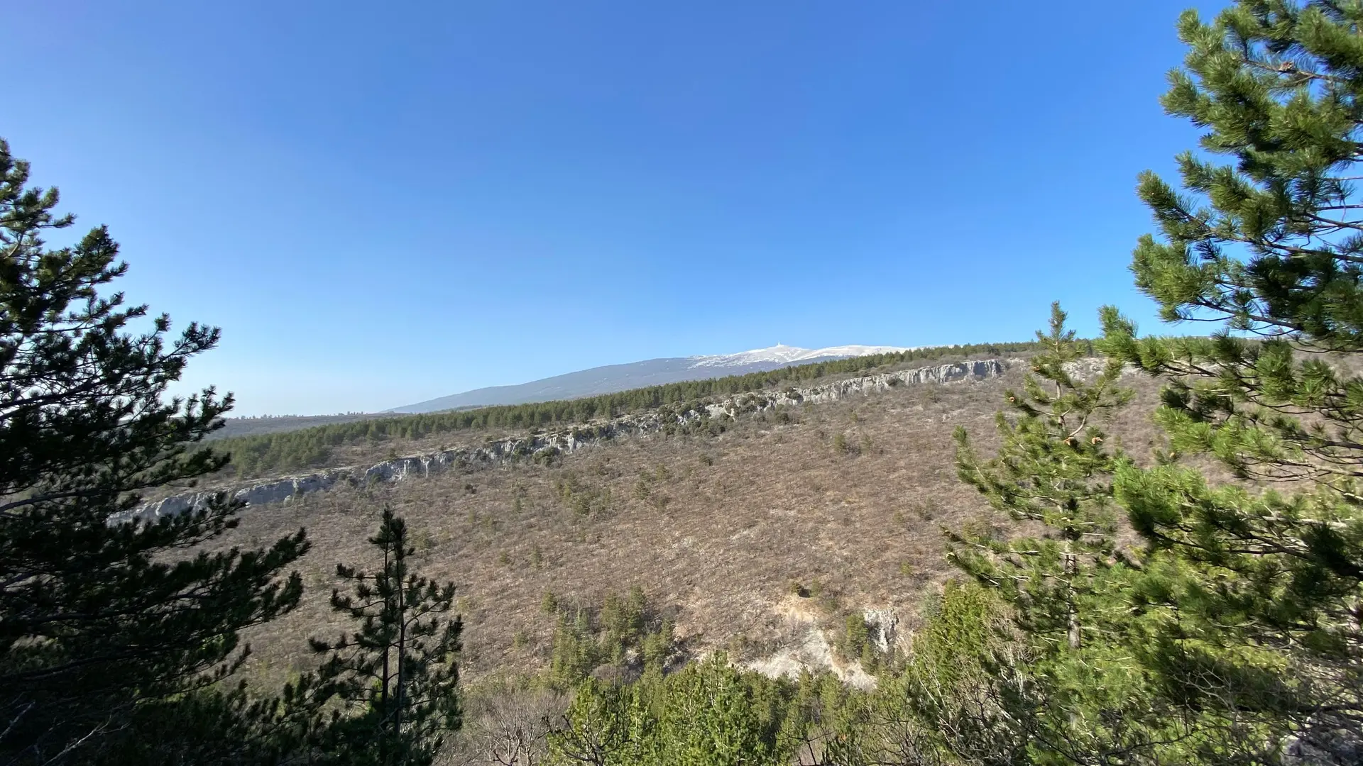 Vue sur le Géant de Provence