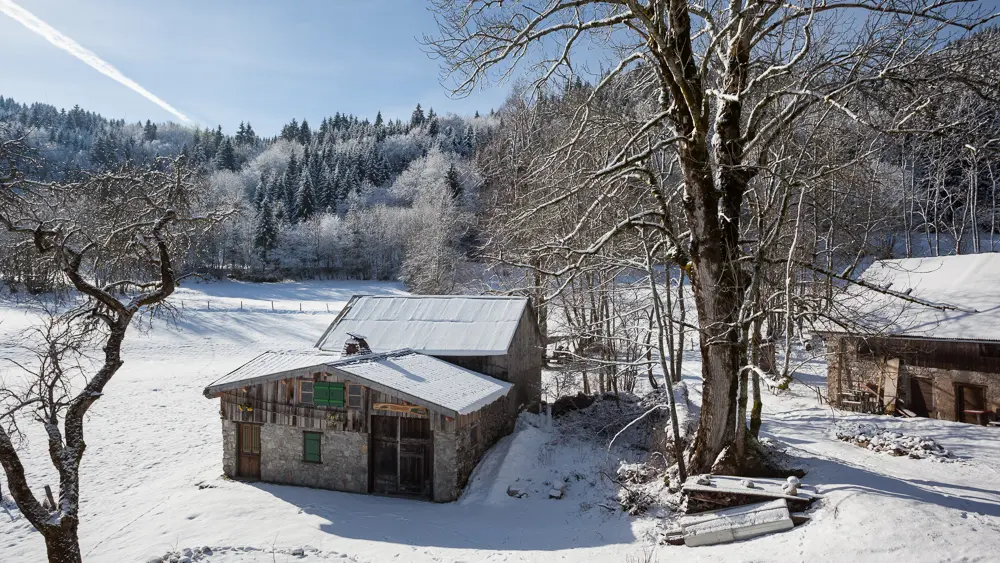 Balade à la découverte des granges et hameaux de Thollon