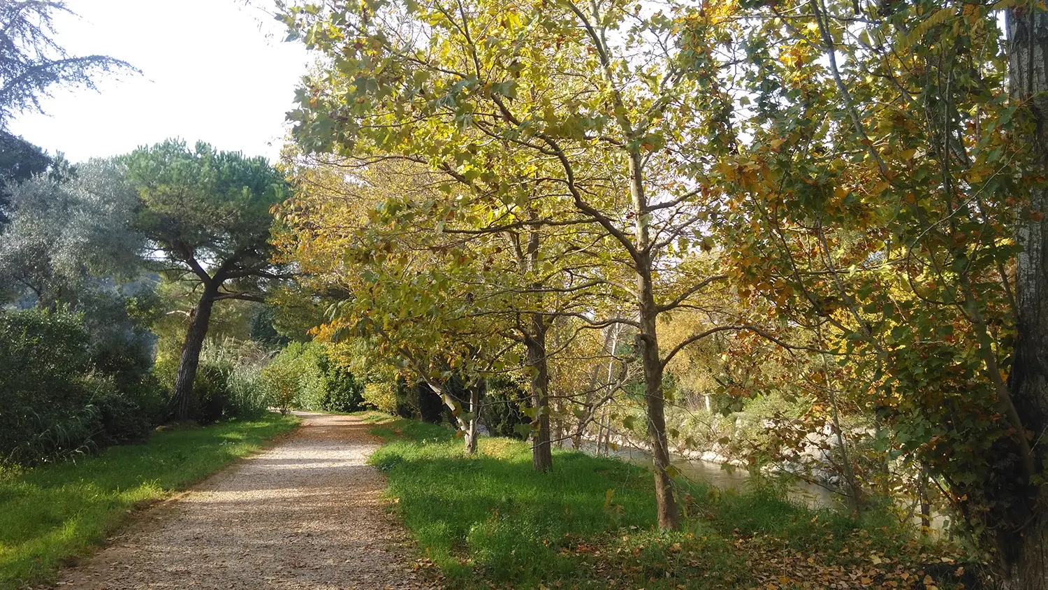 Chemin Horticole