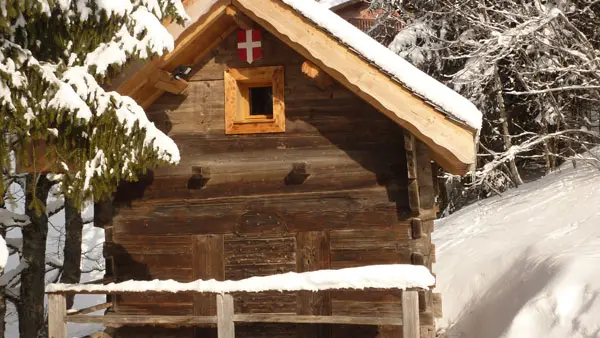 Chalet les Vuargnes Châtel