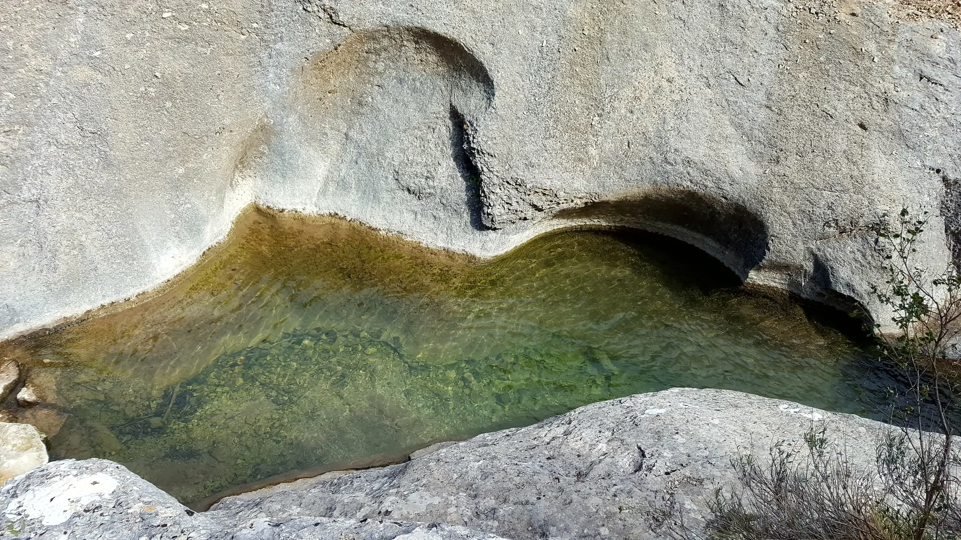 Vasques des Gorges du Riou