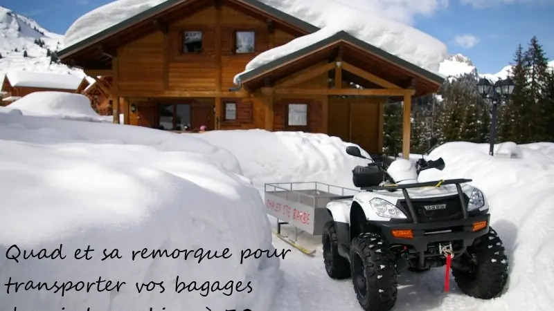 Transport de vos bagages en hiver