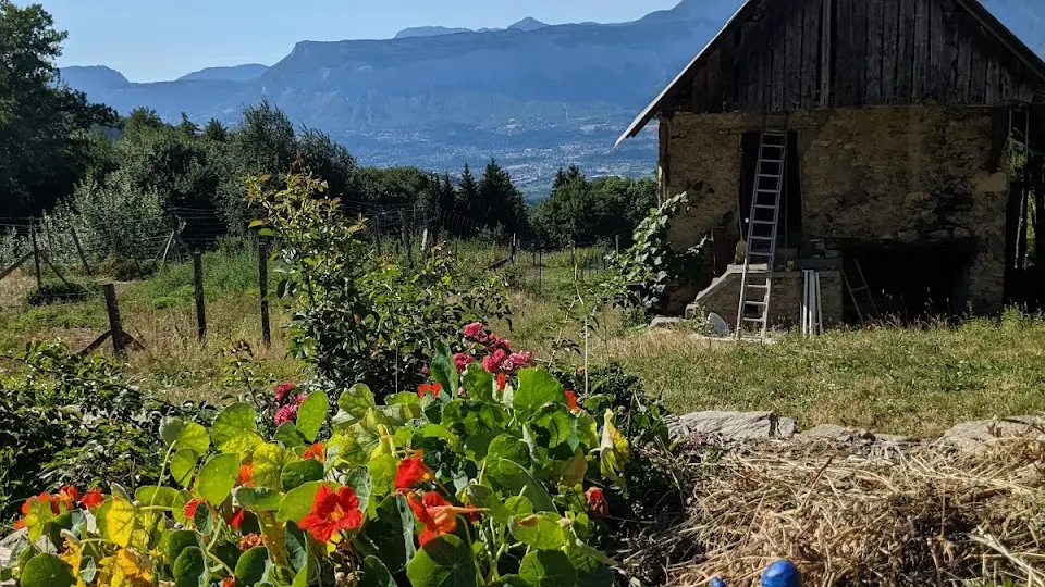 L'image montre une maison en bois entourée d'un jardin.