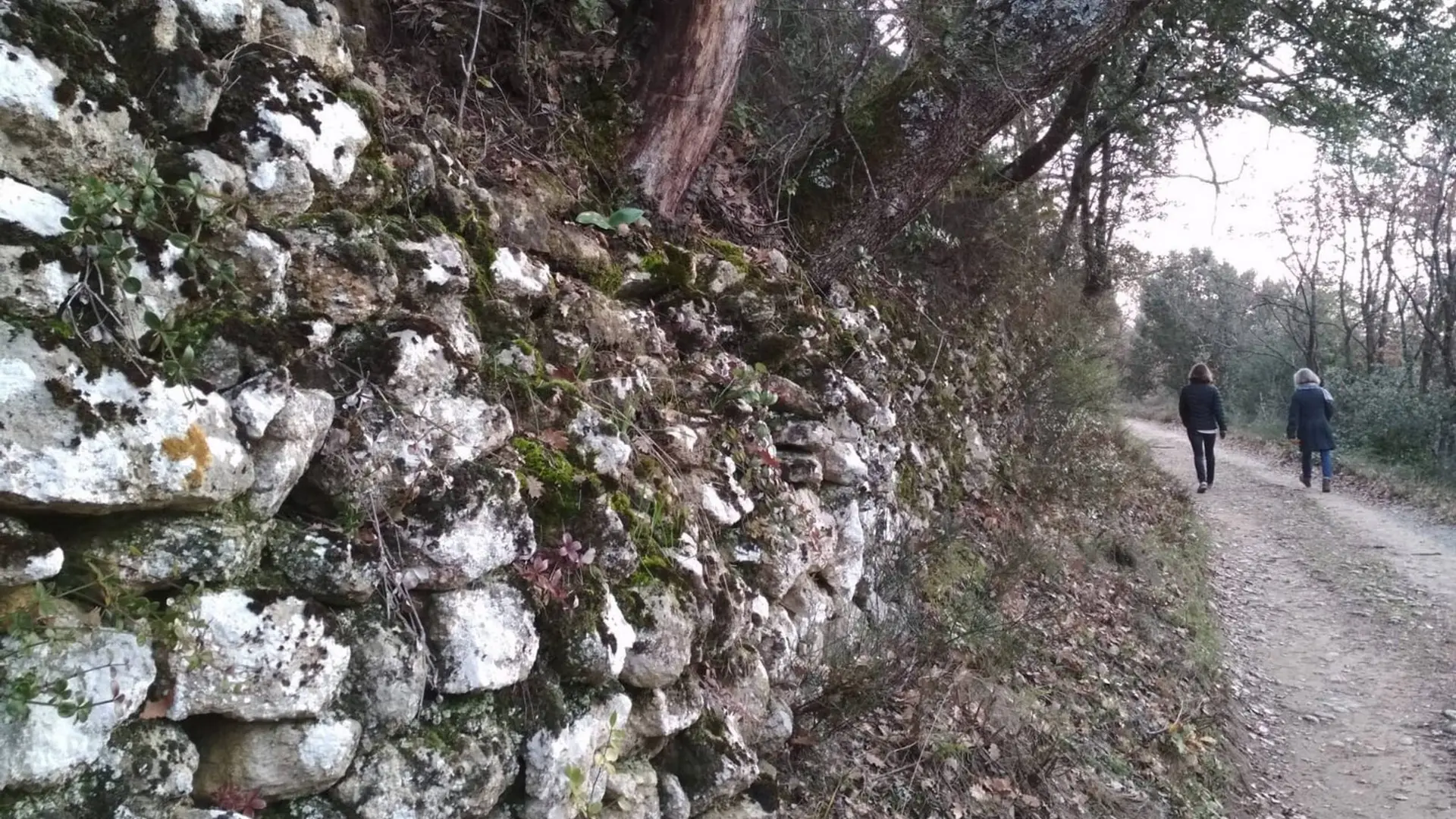 Chemin de Chamerle