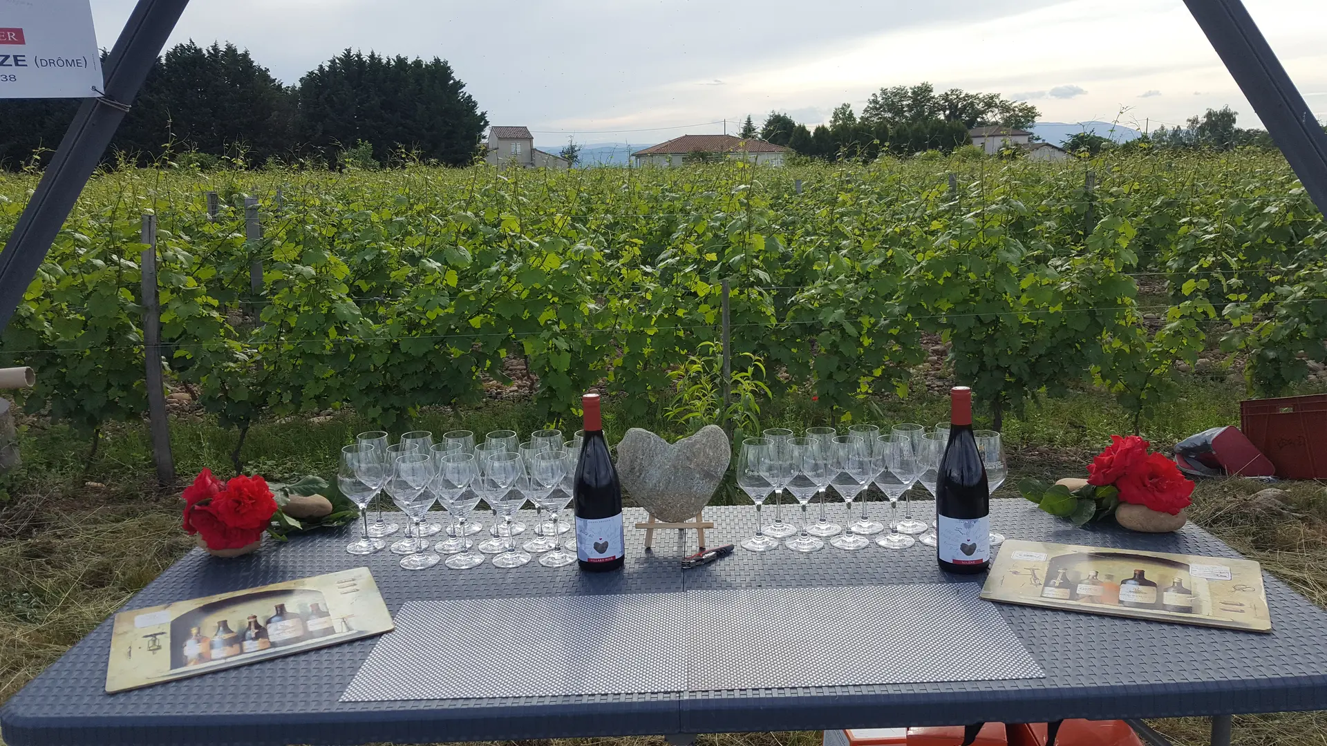 vue sur vigne et table de dégustation Domaine Lionel Brenier - Epinouze