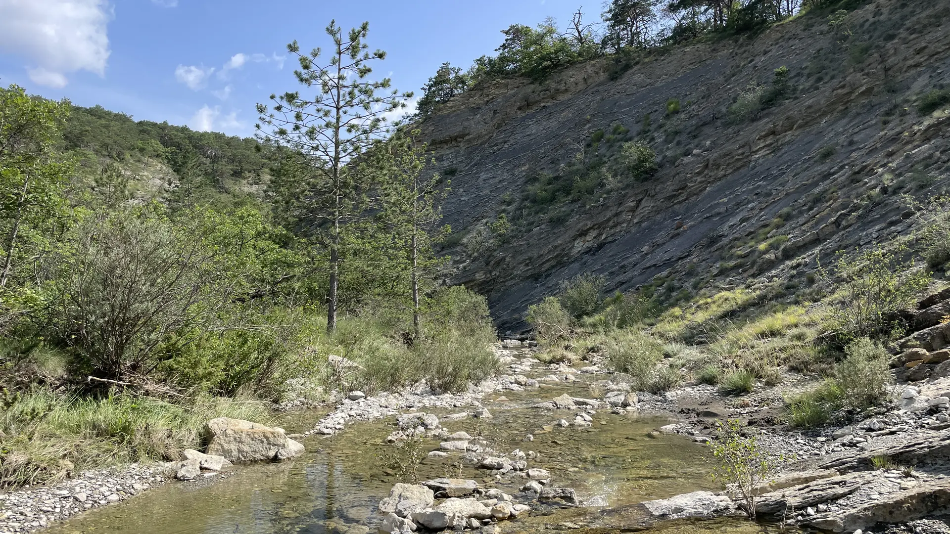 Le Tour de Tourdeaux