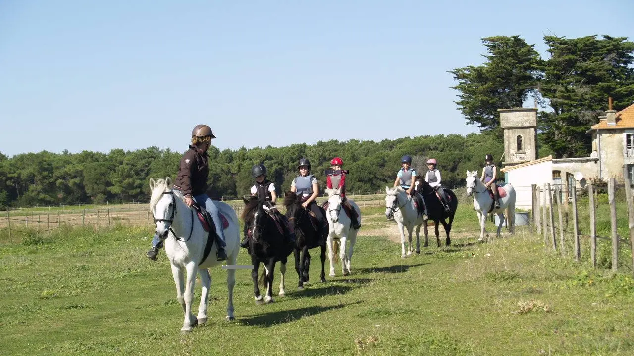 Haras des Evières