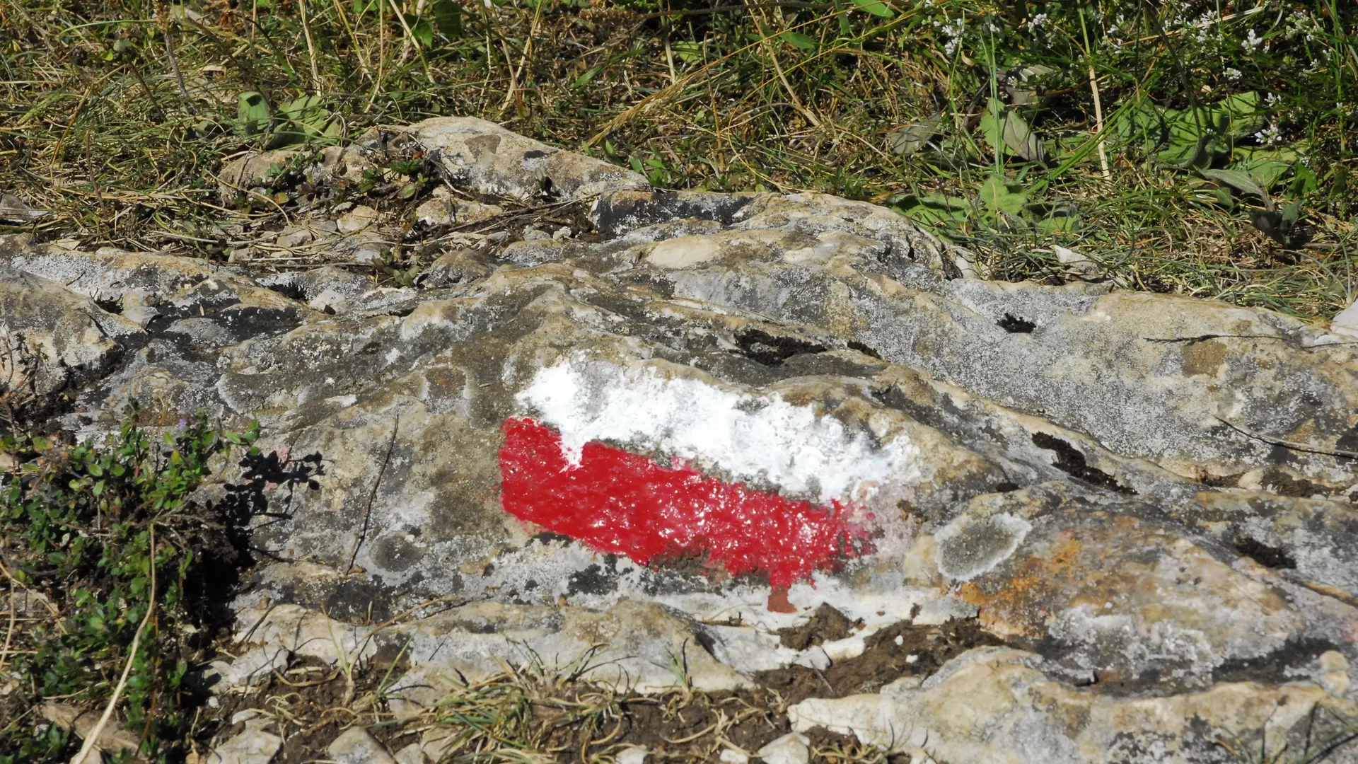 Randonnée Les Conches
