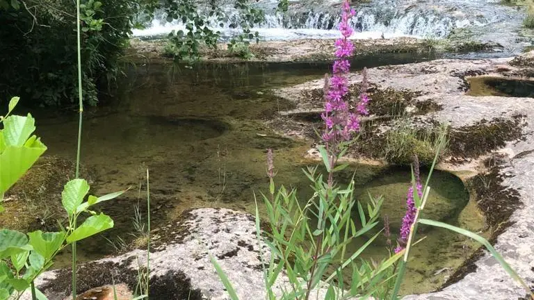 Saut de Charmine