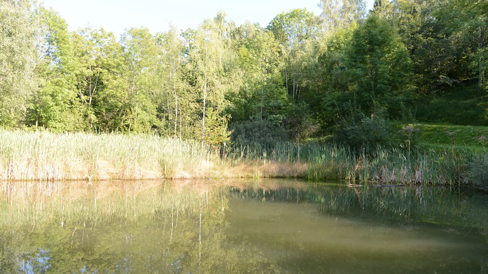 étang du parc de Neuvecelle