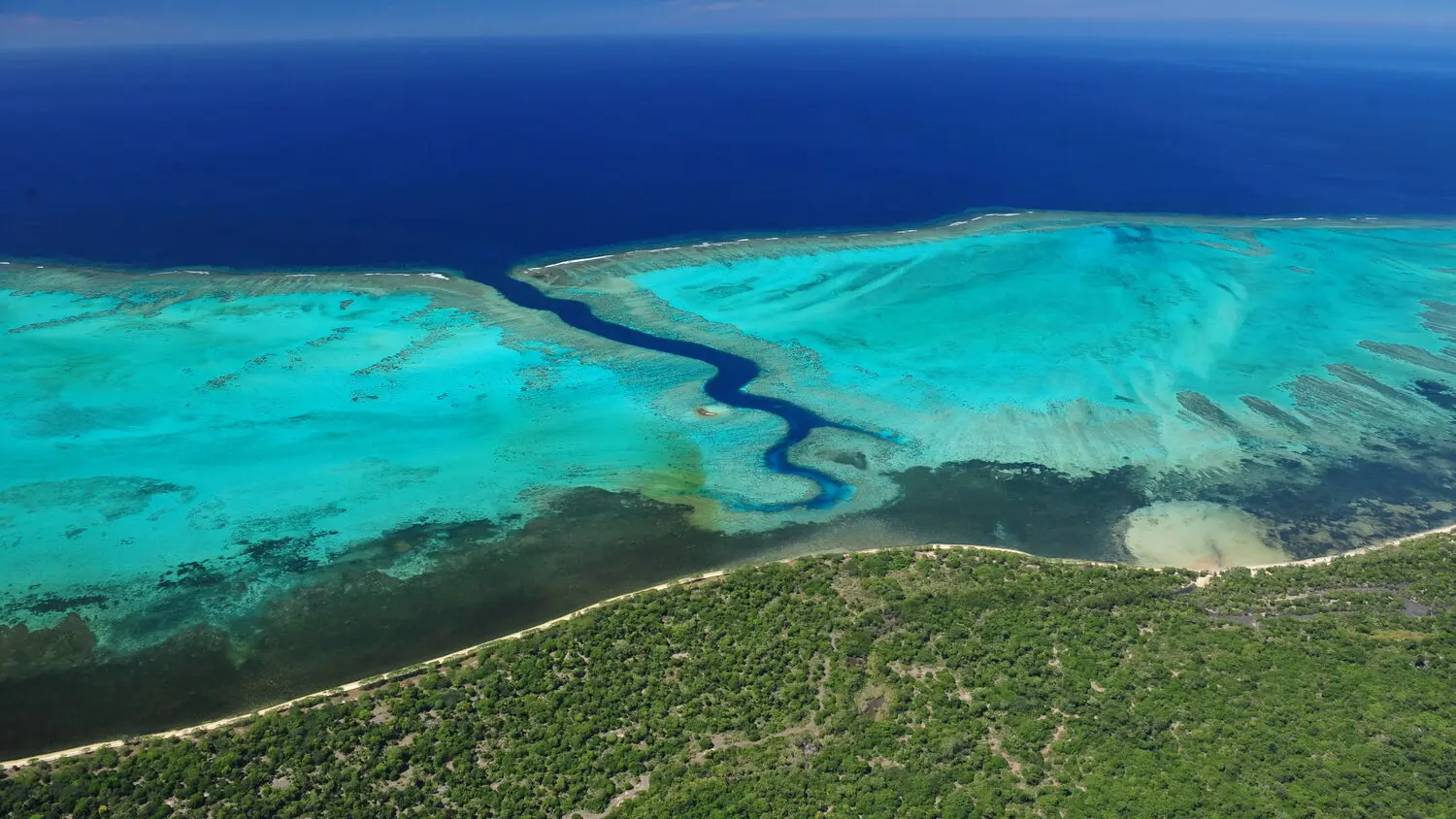 Shark Fault - Poé - Bourail