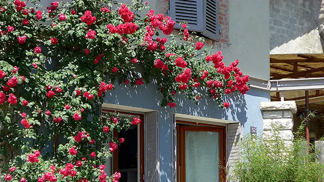 Gîte Chez Maïe