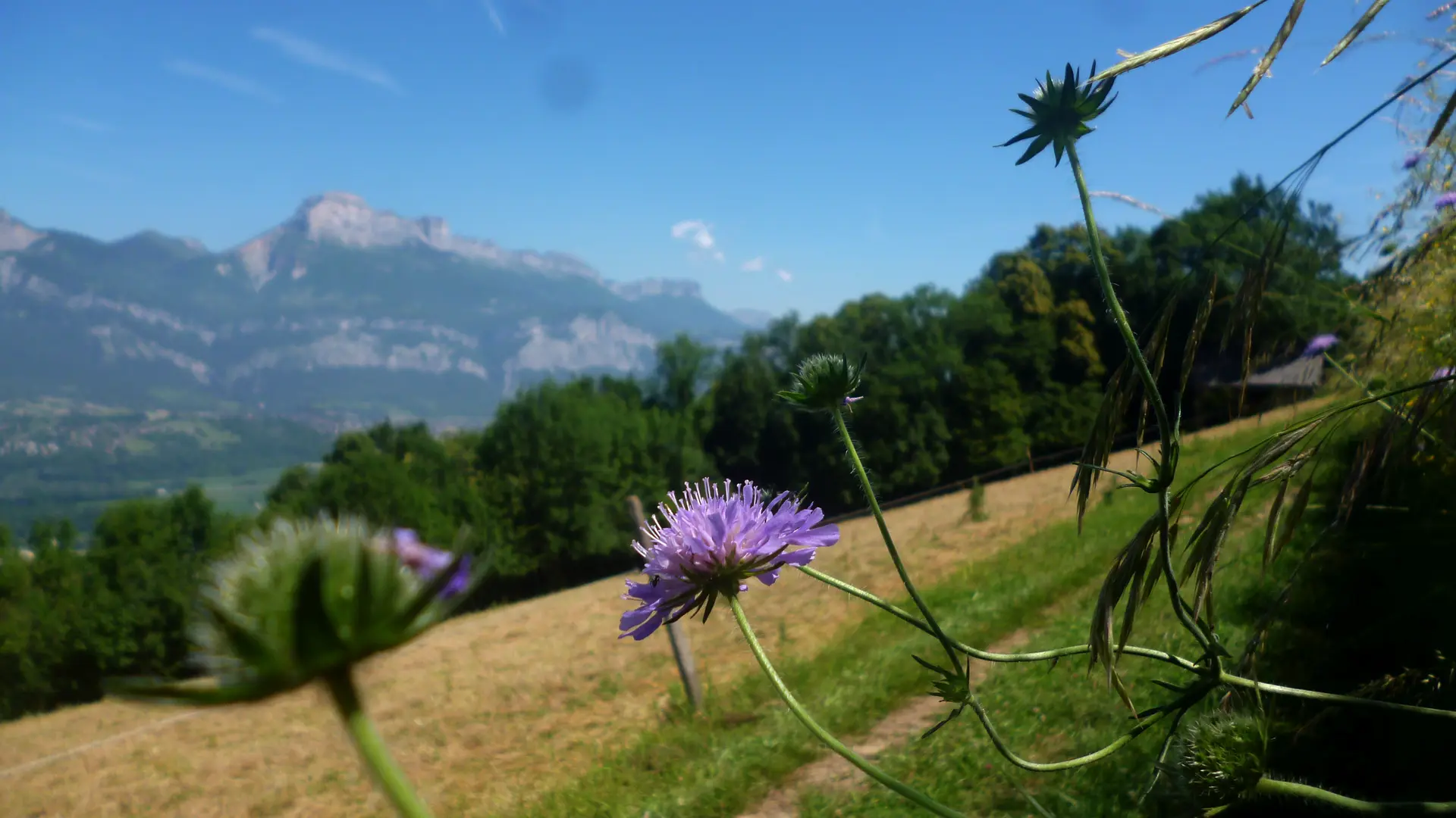 Balcons de Belledonne