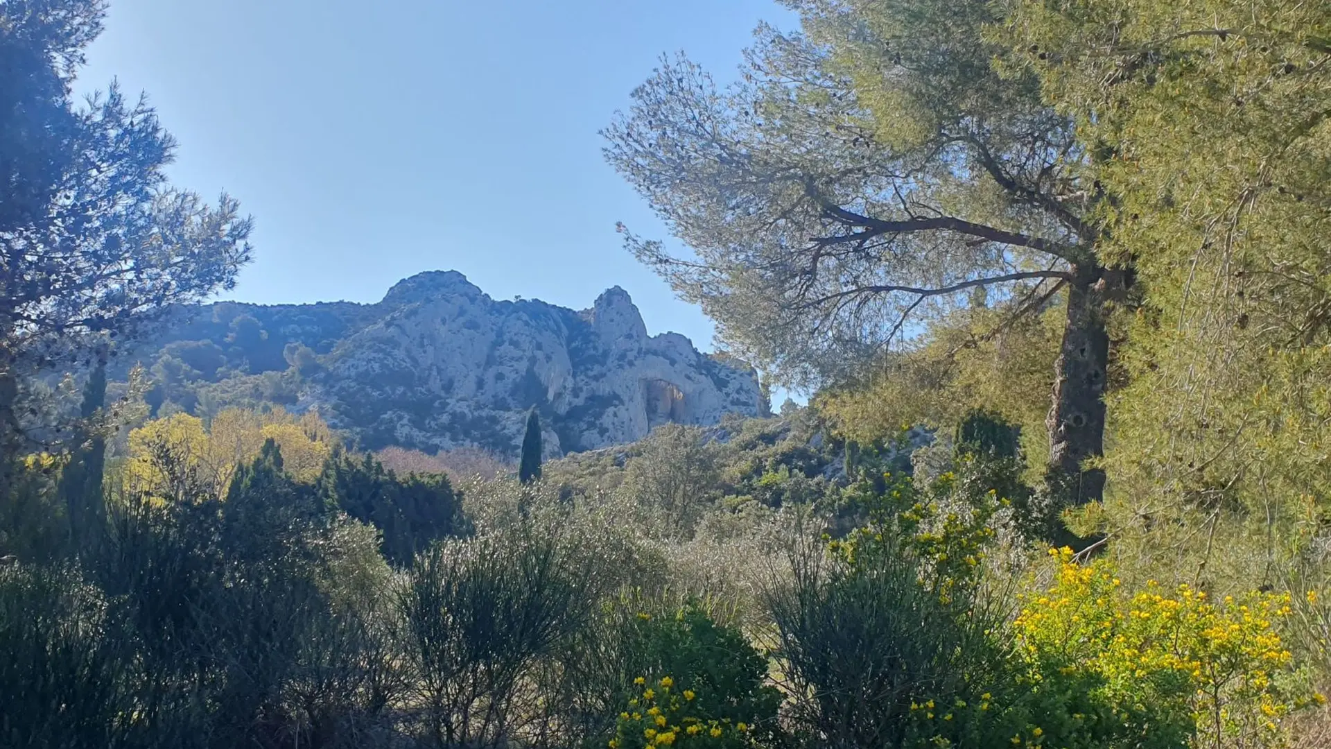 Ouverture sur le paysage