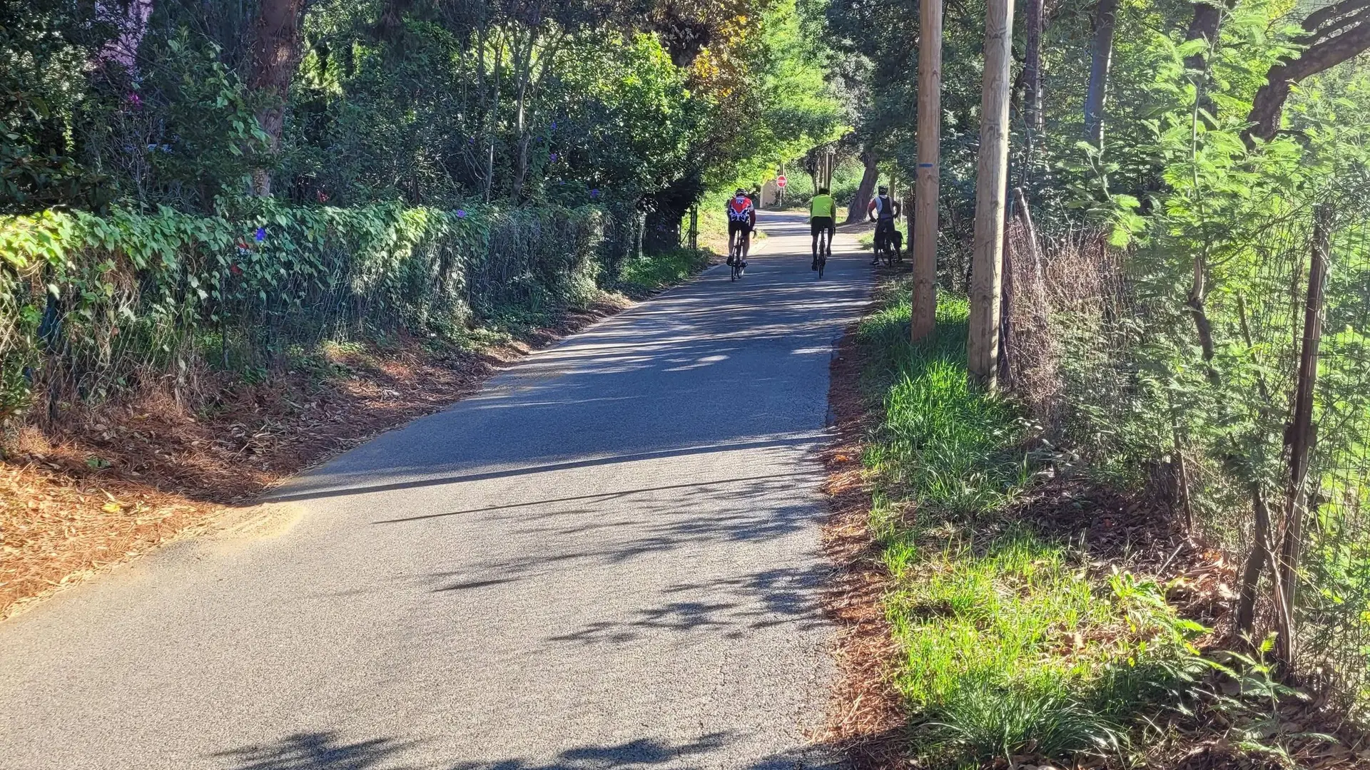 Plusieurs cyclistes roulant sur une portion de la piste cyclable