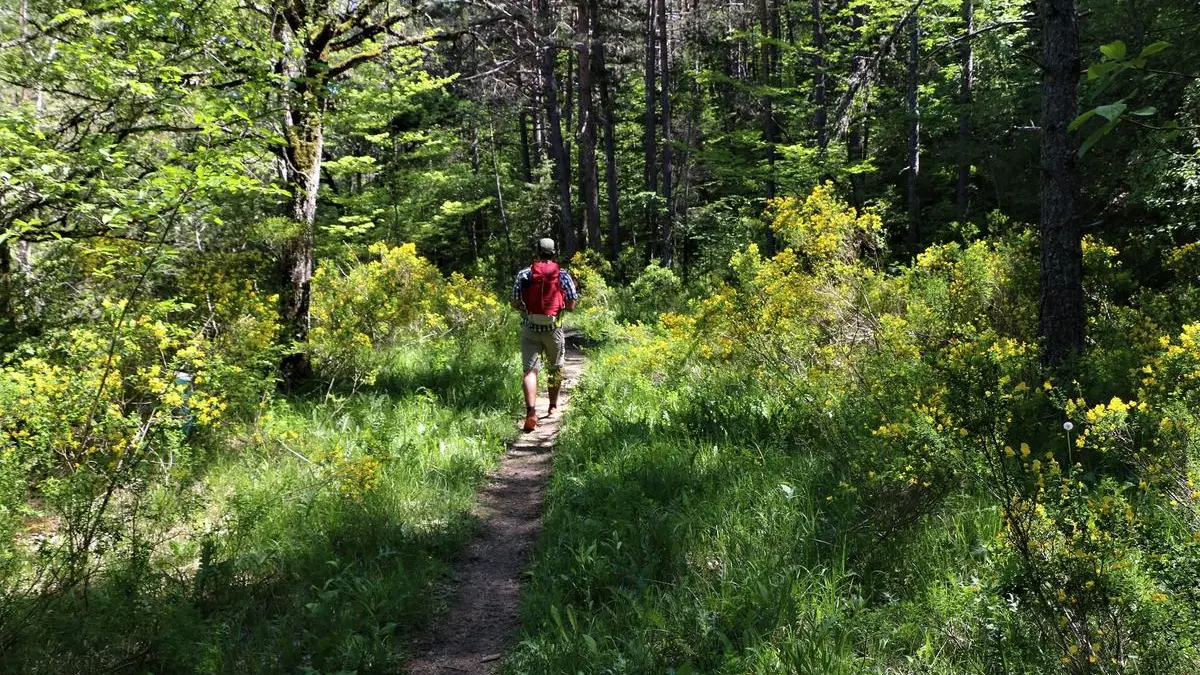 sentier thématique-Montbrand