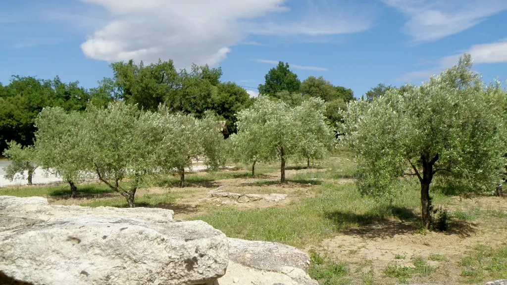 Coll. Clos des Jeannons