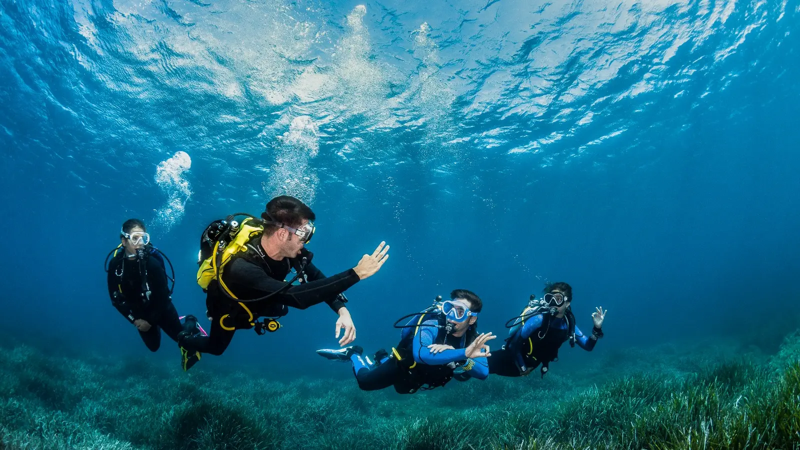 Nouvelle formation plongée-sous marine Open Water PADI  Aqualonde La Londe