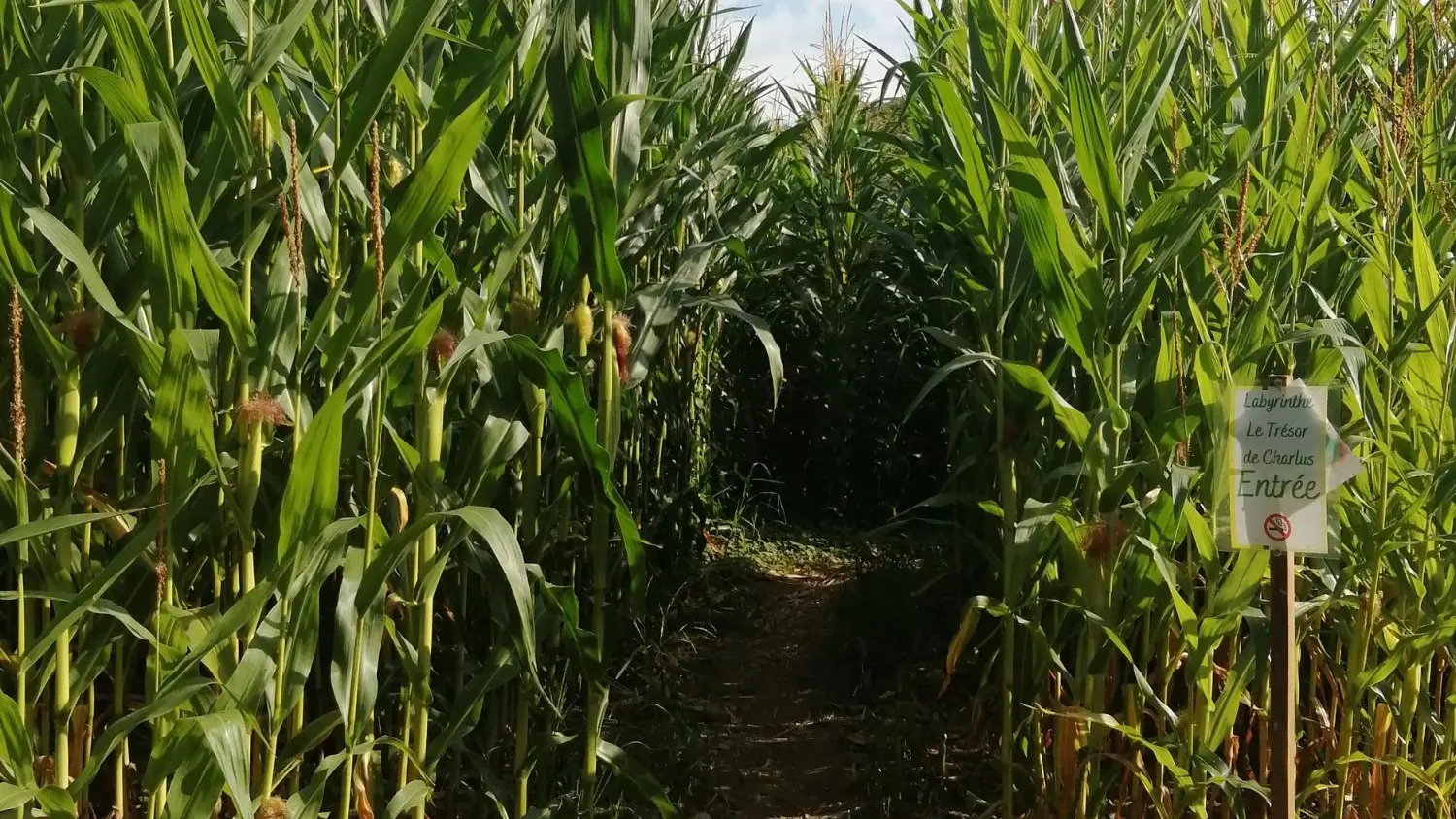 Labyrinthe