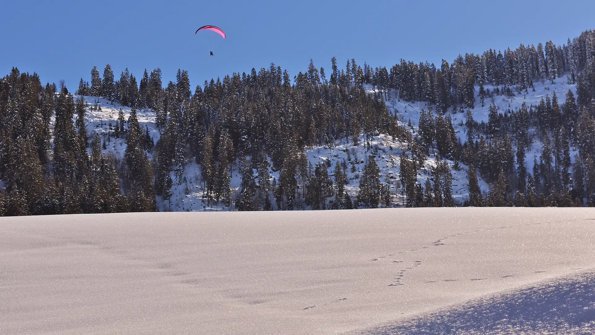Parapente en hiver