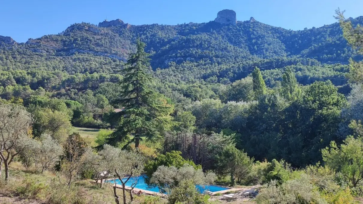 Vue de l'environnement : pleine nature.