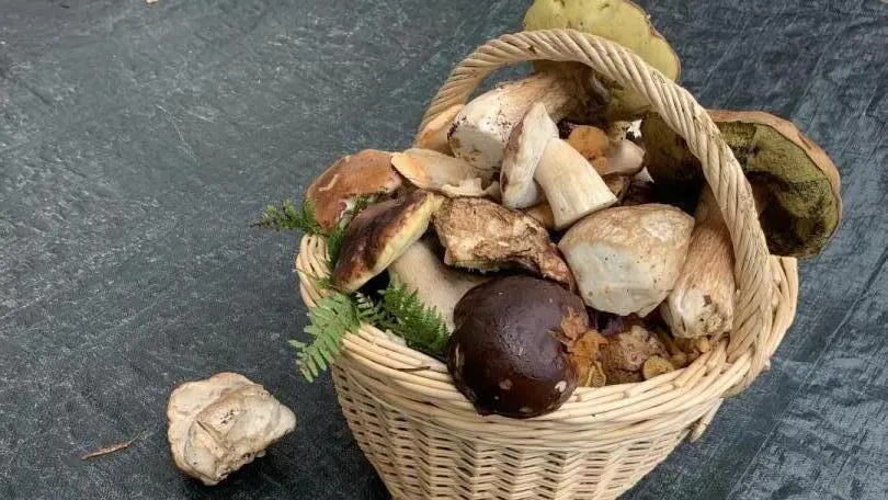 Au pied du gite ... Cela se passe de commentaire...