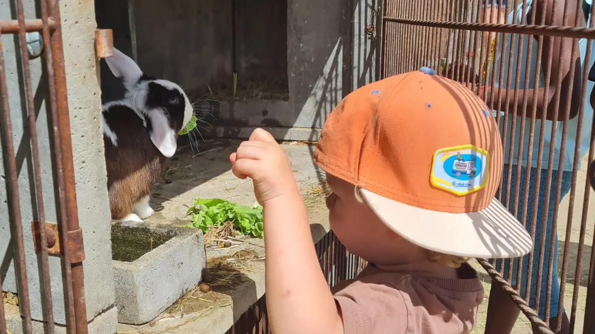 La ferme du Champ Rouge