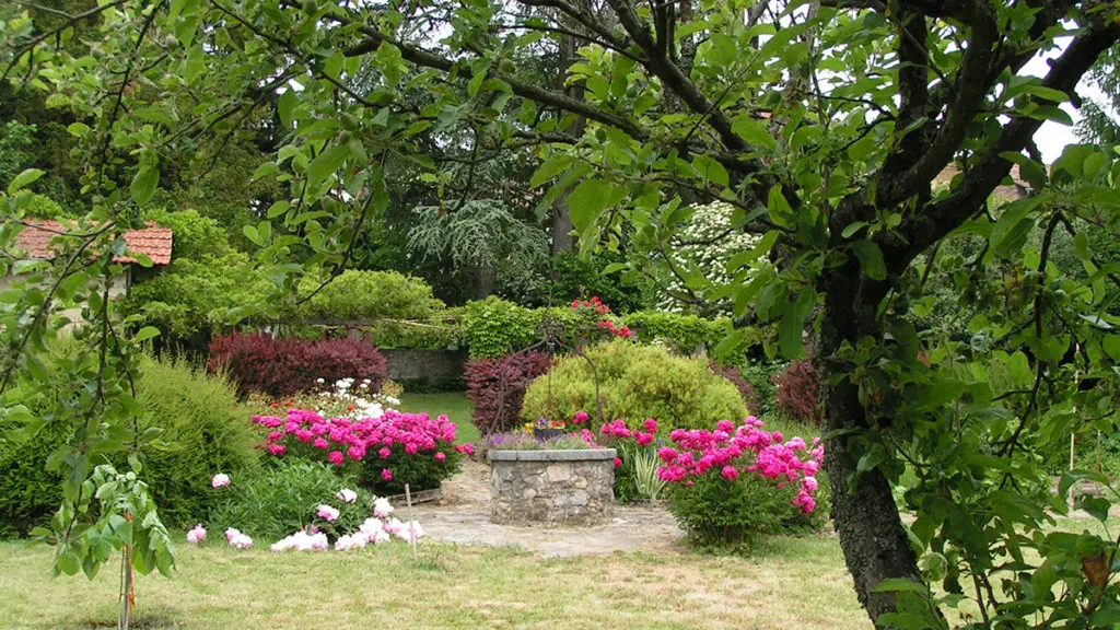 jardin
