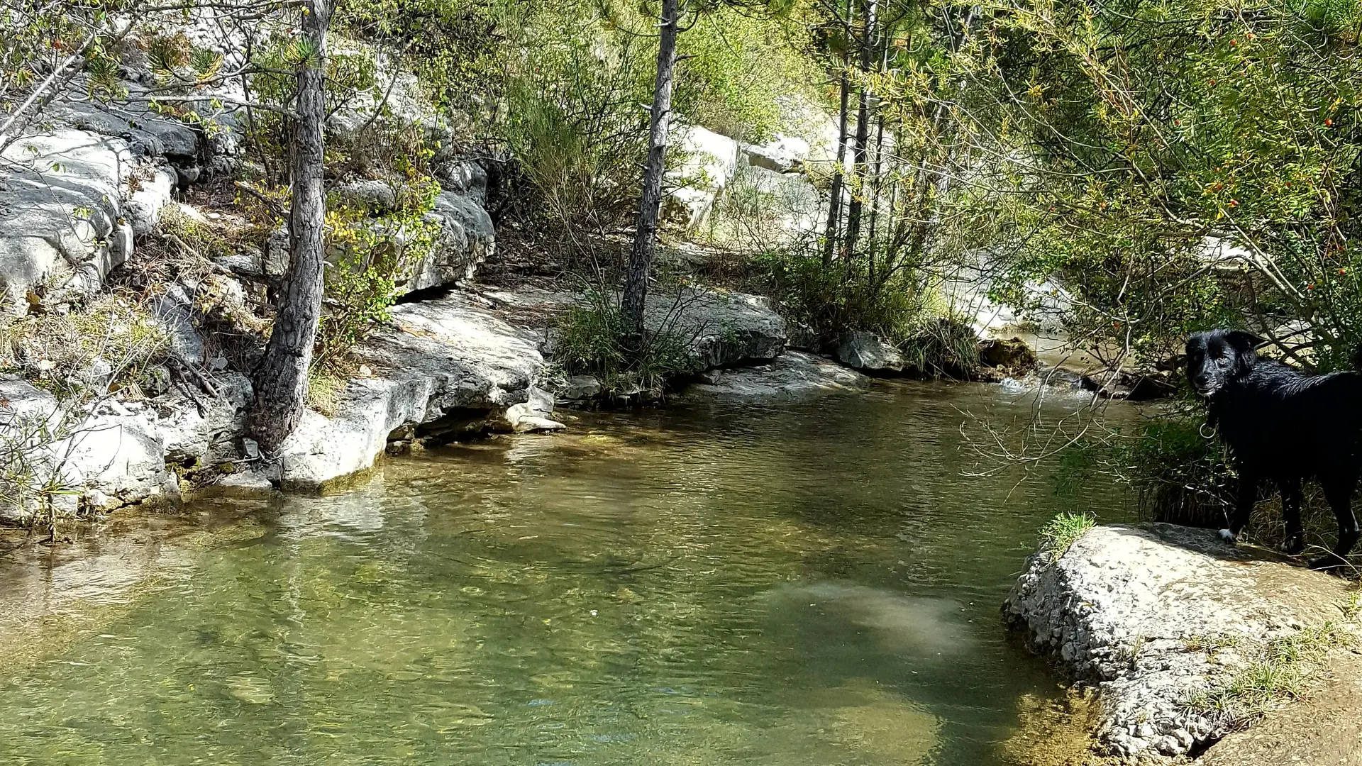 Les Gorges du Riou