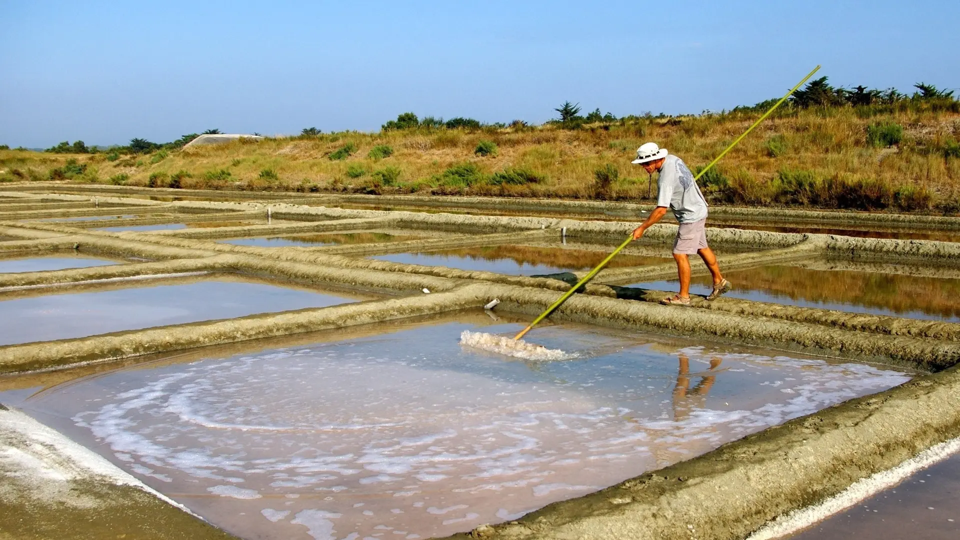 Récolte du Gros Sel