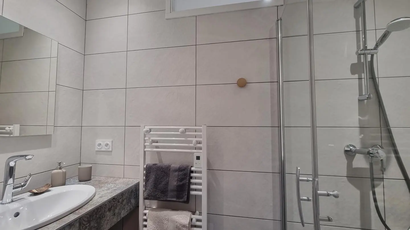 Salle d'eau : douche & vasque.