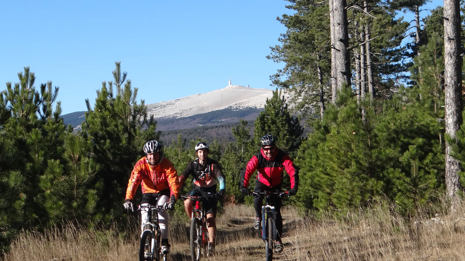 Sortie VTT Mont Ventoux