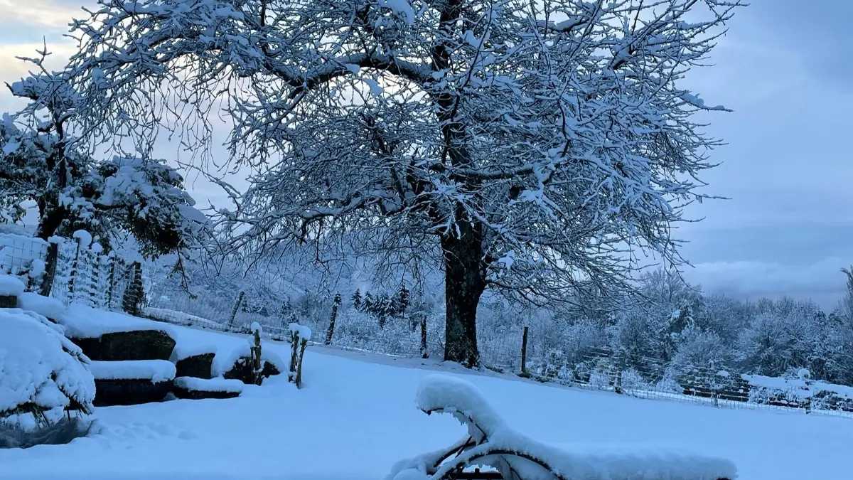 Le Pas de Moineau en blanc