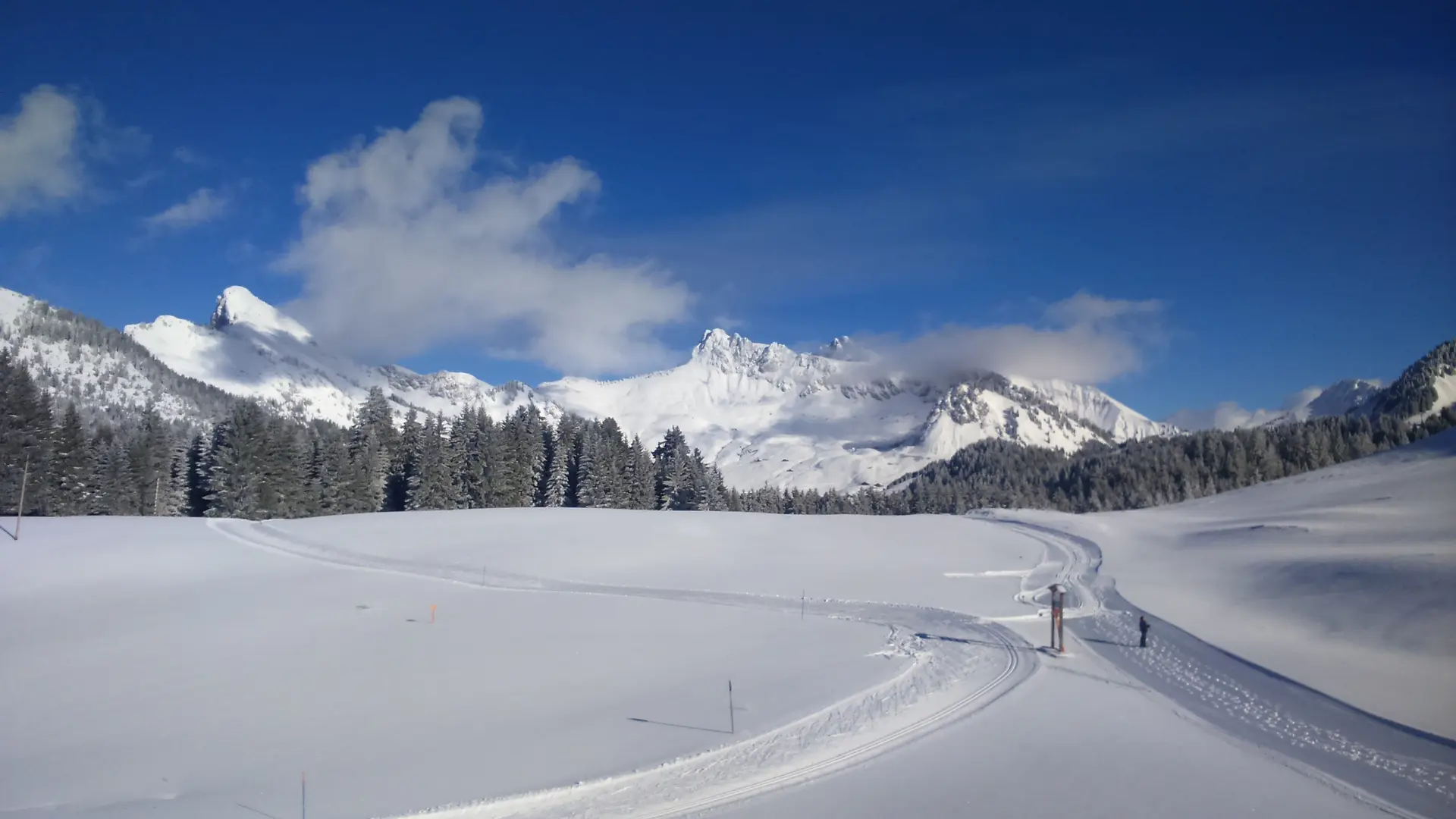 Pistes piétonnes et de ski de fond au pied du chalet