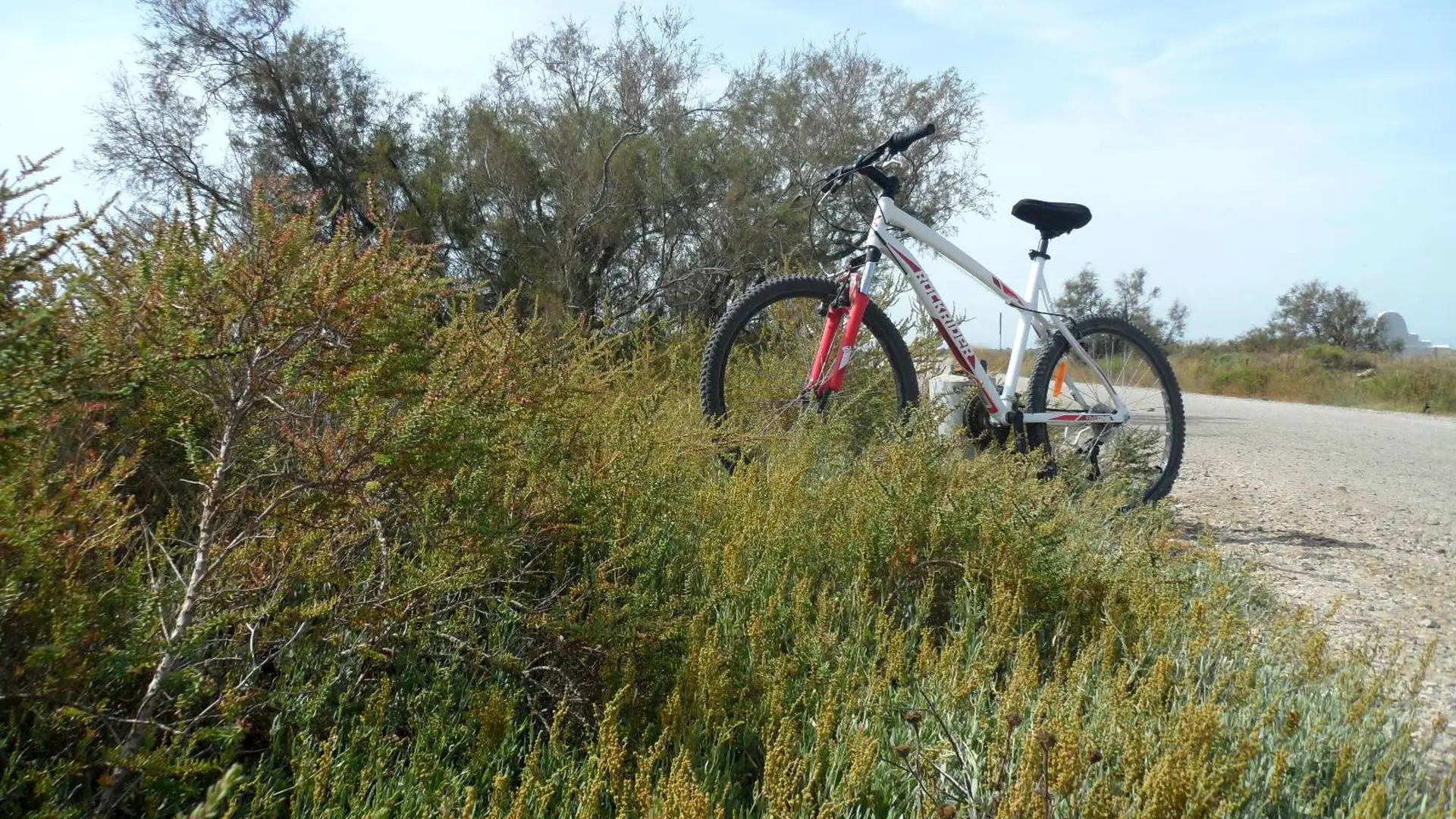 A vélo sur la route de Cacharel