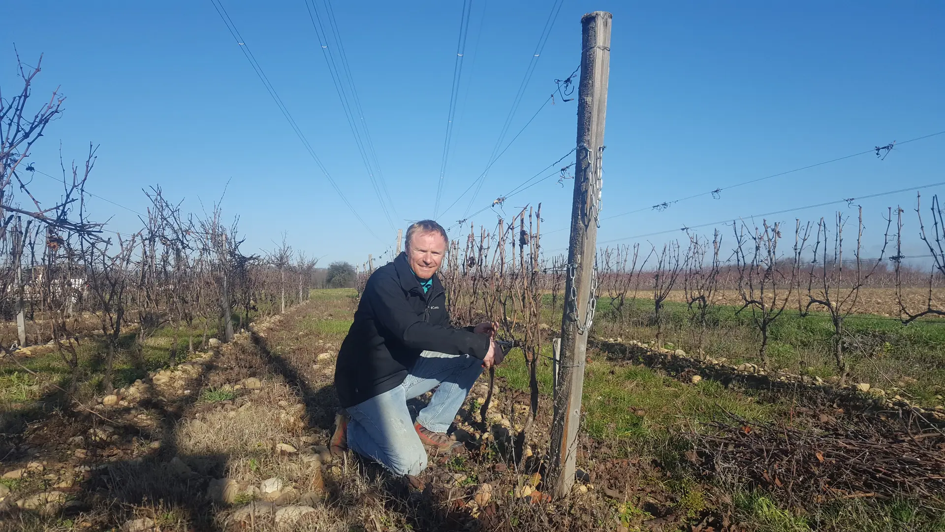 vigne Domaine Lionel Brenier - Epinouze