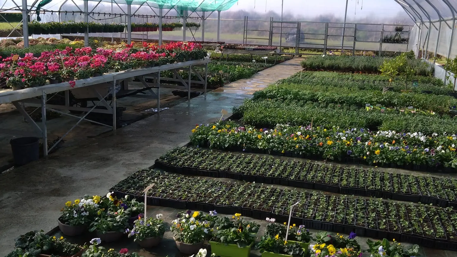 Potager de la Musiquette