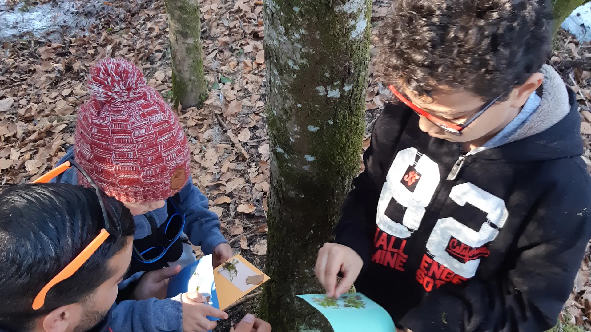 Découverte de la forêt en hiver