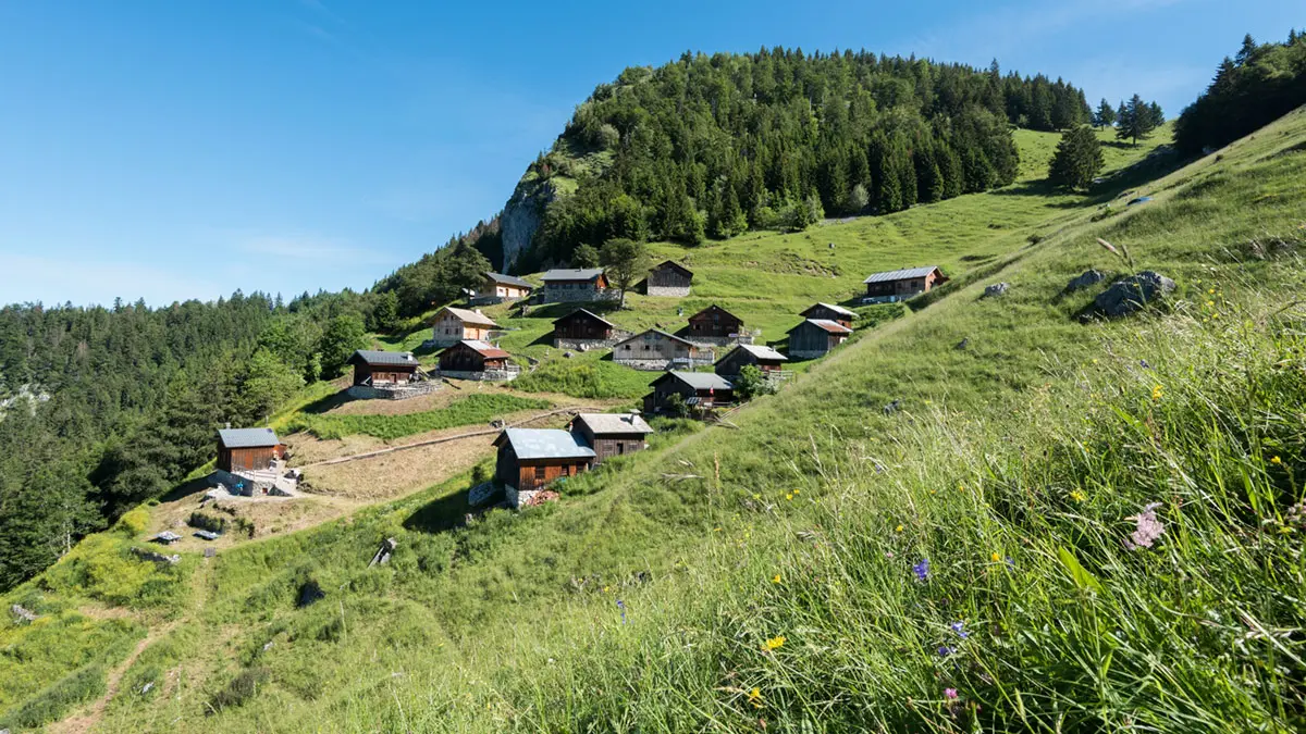 Alpage de Tréchauffé